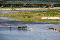 GiÃÆng river Royalty Free Stock Photo